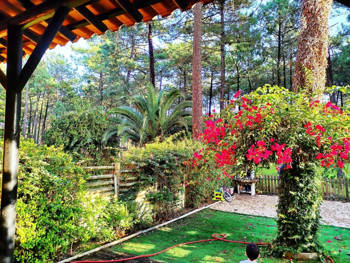 Dolphin Aroeira Beach Villa Charneca  Dış mekan fotoğraf